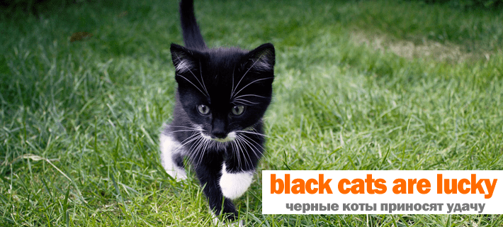 Английские приметы на английском языке